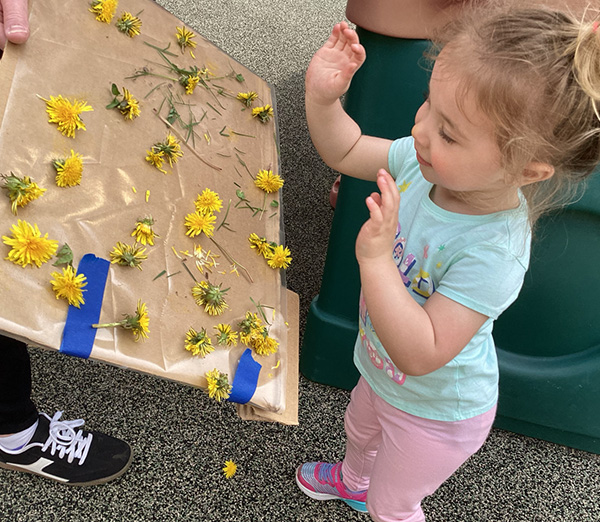 Toddler Brain Development | How Do Infants and Toddlers Develop and Learn | Toddler Physical Development Activities | Play Activities for Toddler Development | Toddler Cognitive Development Activities